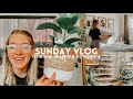 SUNDAY VLOG | cleaning, shopping and prepping for my week