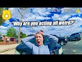When the BIRDLIKE Movements Give You Away