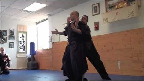 Hontai Takagi Yoshin Ryu