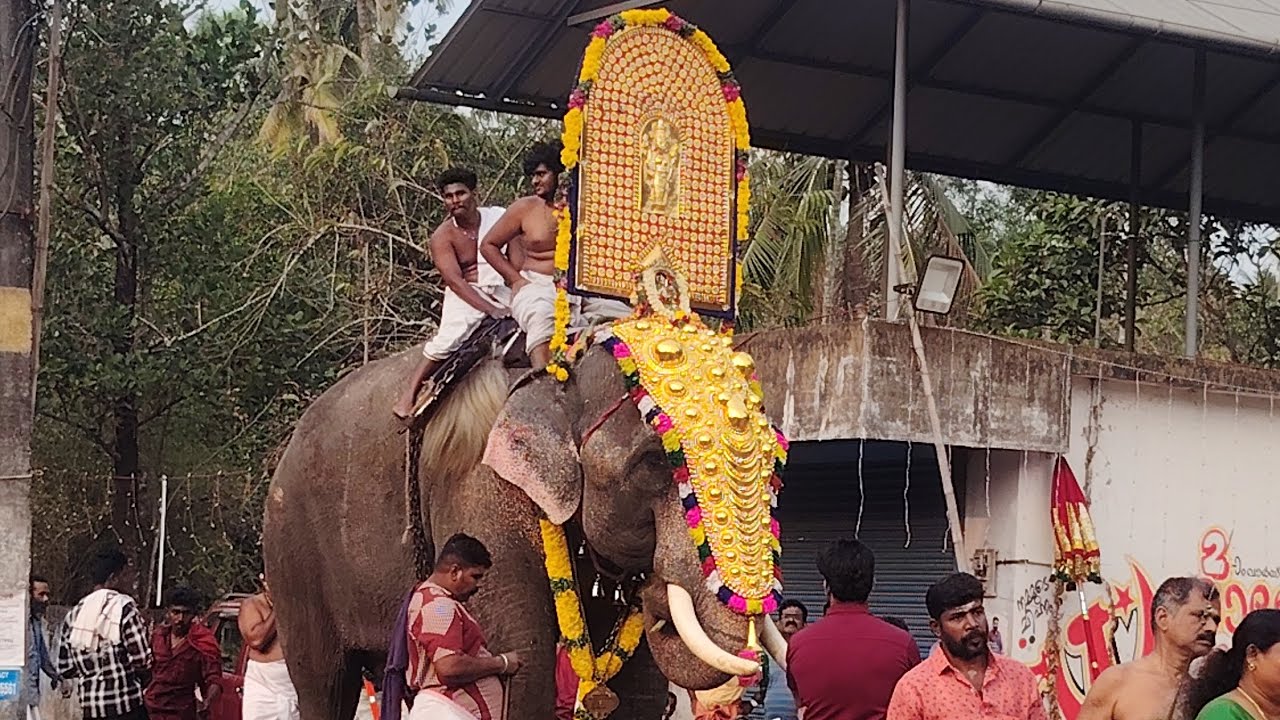 മണ്ണാം പറമ്പിൽ ഭാസിയുടെ വീട്ടിൽ നിന്നും എഴുന്നള്ളിച്ച് അമ്പലത്തേക്ക് പോകുന്നു