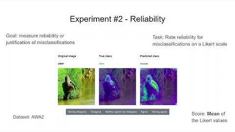 Evaluation of Saliency based Explainability Methods