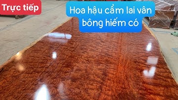 🔴Hoa Hậu Sập Chiếu Ngựa Gỗ Cẩm Lai vân chun bông hiếm có - Gỗ Việt Bắc
