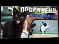 ПОТРАЧЕНО. Милый котик. Лучшие приколы 2020, смешные видео и фейлы