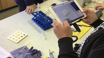 VEO - Formative Feedback and Pupil Assessment