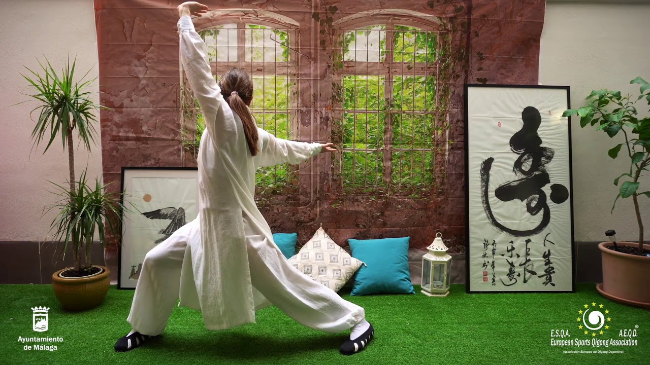 WUDANG WUXING QIGONG I (5 Animales).
