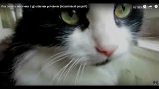 О том как солить маслины в домашних условиях (пошаговый рецепт) О том как солить маслины в домашних условиях (пошаговый рецепт)