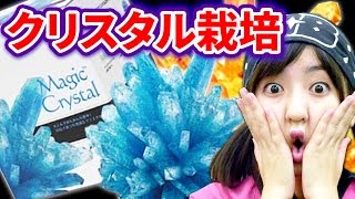 【衝撃】巨大クリスタルを育ててみた結果！【クレーンゲーム】