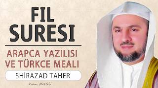 Fil suresi anlamı dinle Shirazad Taher (Fil suresi arapça yazılışı okunuşu ve meali)