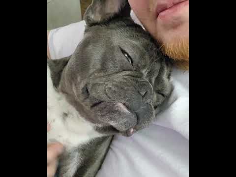 The @don.wrinkles.