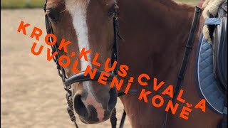 #1 JEŽDĚNÍ NA KONI | krok, klus a cval