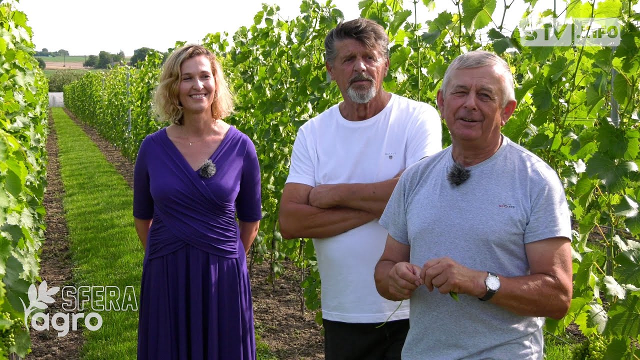 agroSFERA: Enoturystyka. Młoda 