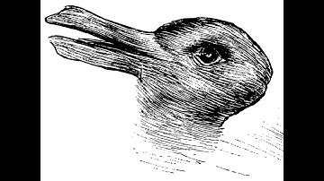 Duck or rabbit? The 100-year-old optical illusion that could tell you how creative you are