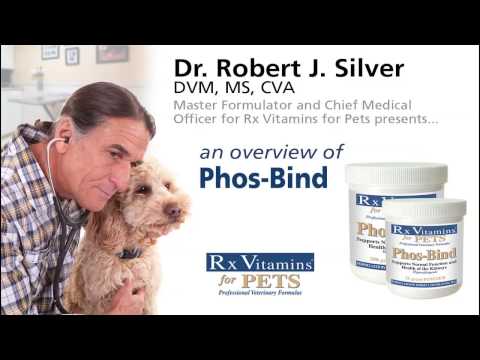 phos-bind-product-overview---rx-vitamins-for-pets