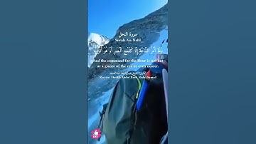 ولله غيب السماوات والأرض | سورة النحل #دعاء_ورسالة Surah An-Nahl