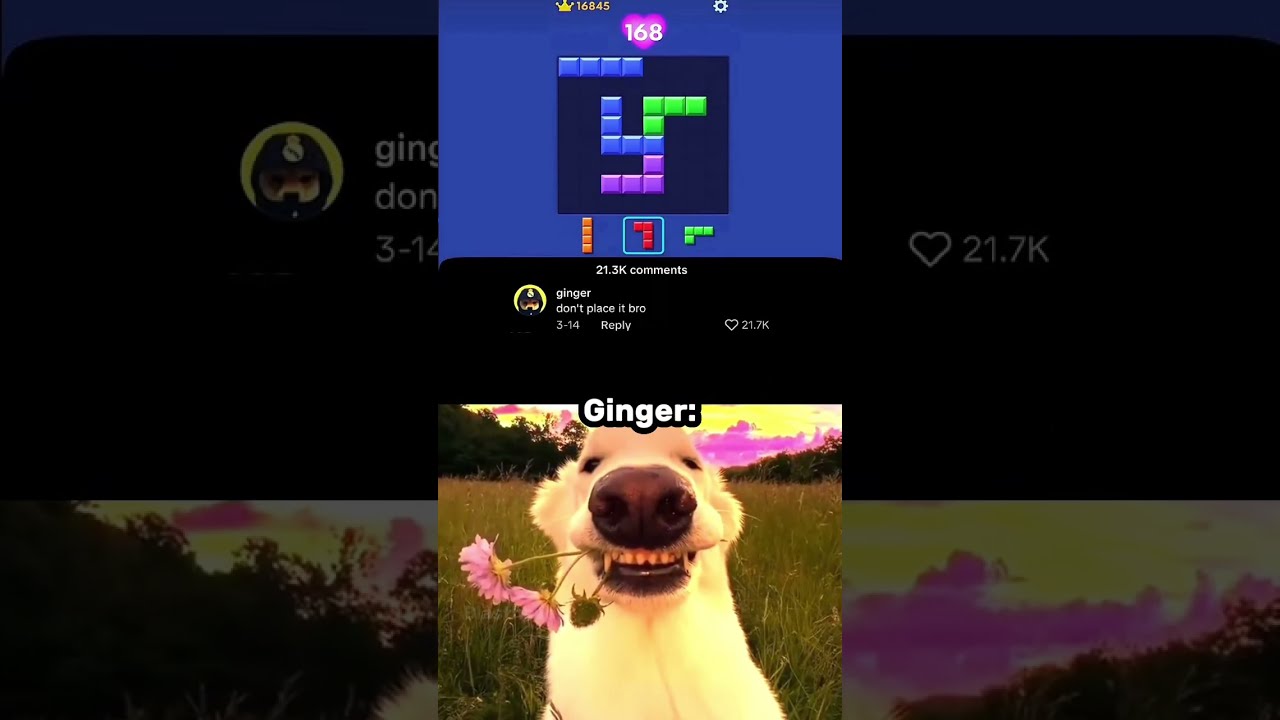 Use This Sound 