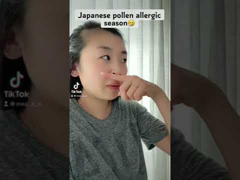 Japan Pollen Allergic Season Is Like Runny Nose Itchy Nose And Eyes Japanspring 