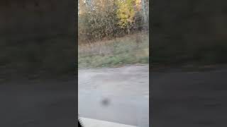 15 октября 2021 г.