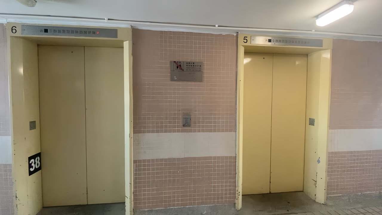 天水圍天慈邨慈屏樓三菱升降機