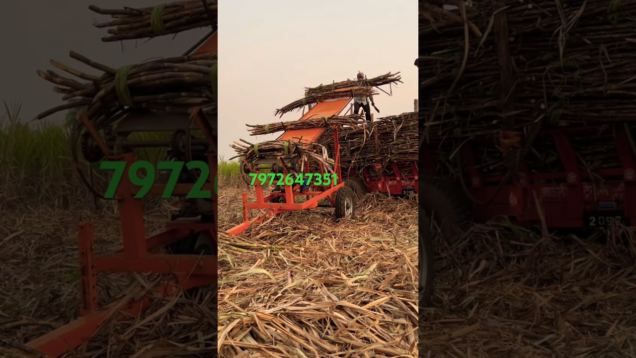 Sugarcane Loading Machine 