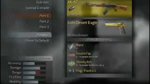 Hacked CoD4 Profile Level 55 all weapons, skins, and challenges completed