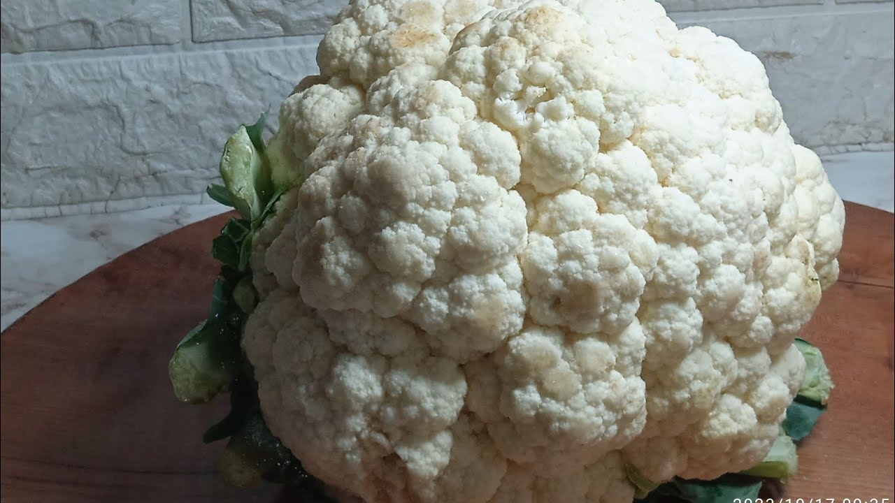 الوصفة الكل يبحث عنها😋اذا عندك شوفلور ادخلي ديري هاذ الوصفة بدون لحوم بدون قلي بنين خير منتاع اللحم