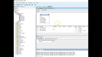 Using Query Worksheet in SQL Developer