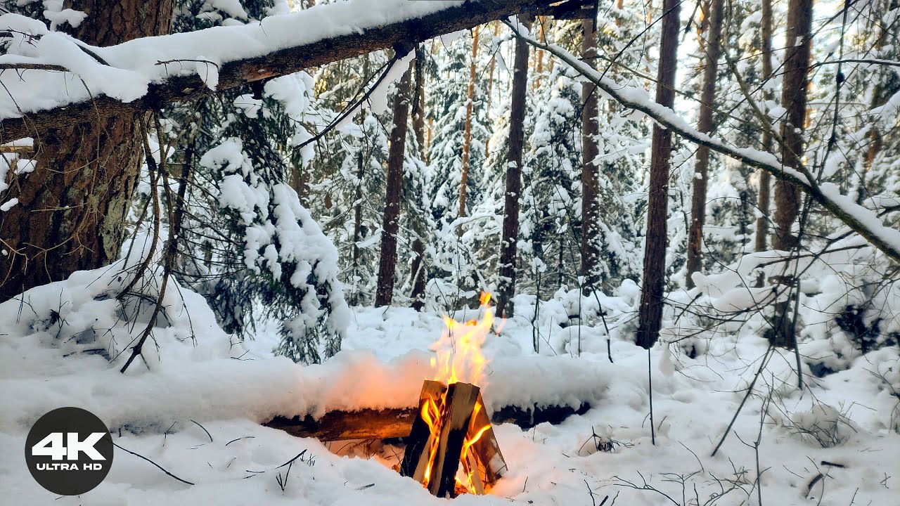 🌲 4K Campfire Under Snowy Branches | 3 Hours of Natural Fire in Snow (No AI)