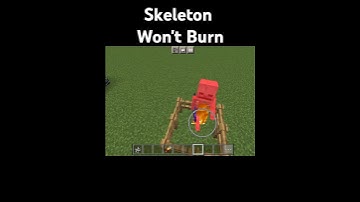 Minecraft Skelly Logic | Skeleton won