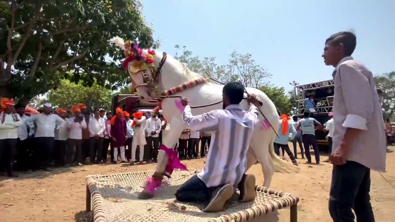 Horse dance - कलाकार घोड लगनात कस नाचतय ॥ ￼घोडा डान्स विडीयो