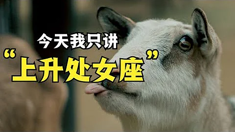 上升處女座的特質 - 天天要聞