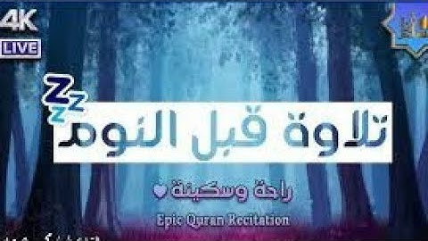 تلاوة هادئة للنوم (راحة نفسية ) 😥💔{سورة الفتح...}القارئ حسام الدين عبادي● نوم عميق 😴