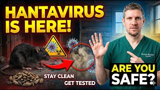 Hantavirus Pulmonary Syndrome Explained Symptoms, Risks Prevention | Doctor Explains | Senior Health