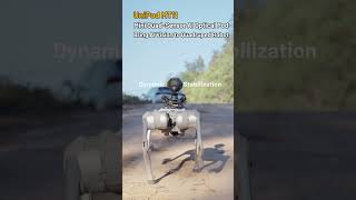 Bring AI Vision to Quadruped Robots | UniPod MT11 Mini Quad-Sensor AI Optical Pod