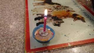 Birthday Thomas Cupcake