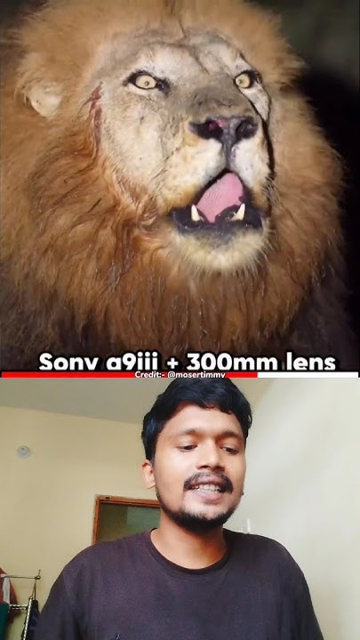 100000 IPhone Camera Vs 1000000 Sony A9iii Camera short 100000-iphone-camera-vs-1000000-sony-a9iii-camera-short