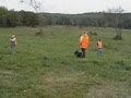 Darcy's Field Day - Field Spaniel Hunt Test の動画、YouTube動画。