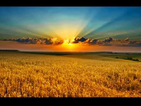 გელა გელაშვილის ახალი ლექსი, კითხულობს ზურა ყიფშიძე