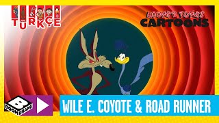 SEVİMLİ KAHRAMANLAR HİKAYELER | Wile E. Coyote ve Road Runner | Boomerang TV Türkiye Resimi