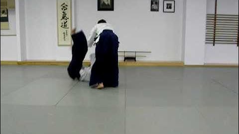 Aikido - 3 Kyu - Technique - Yokomenuchi Iriminage