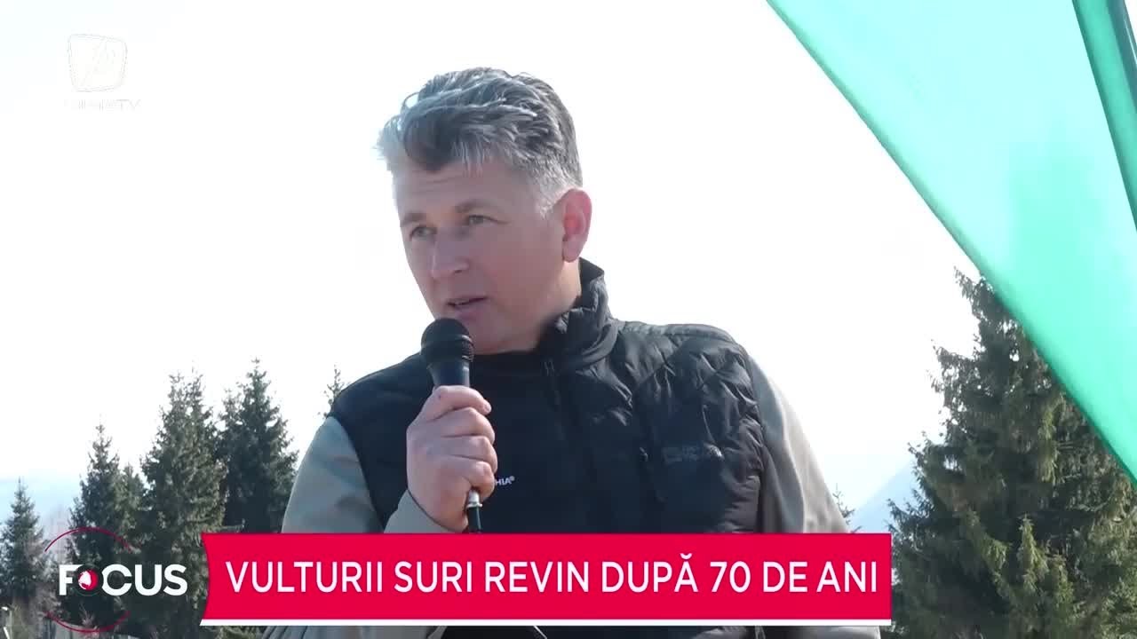 Vulturii suri revin după 70 de ani