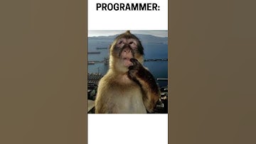 Programmer!? #windows #developer #coding #funny #memes