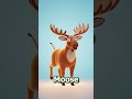 Learn Wild Animal Names for Kids 🐼🦘 | Moose Panda Kangaroo