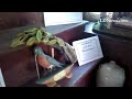 Lebanon Daily News update by Chris sholly  - June 28, 2014