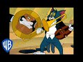 Tom und Jerry auf Deutsch | Klassischer Cartoon 104 | WB Kids