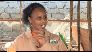 Broiler Chicken Farming is a Passion Thanks to Unga Farm Care (E.A) Limited. Part 1