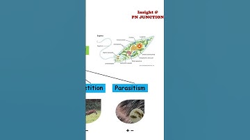 Euglena| Autotroph or heterotroph??? #shorts #science #ecosystem #environment  #generalknowledge