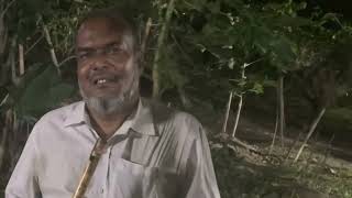 বেইলি রোডের বংশীবাদক আনিসুর রহমান এর মোহনীয় বাঁশির সুর ও জীবনের গল্প​⁠|Heart touching fluit Music