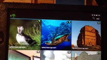 Android Capstone Project:Potlatch