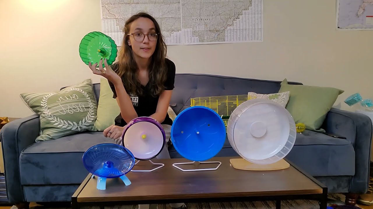 Finding the BEST Hamster Wheel