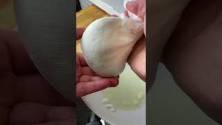 Milk & Vinegar Mozzarella Shorts